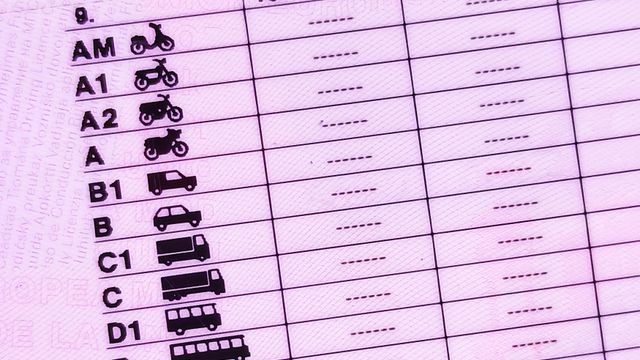 Carnet de conducir