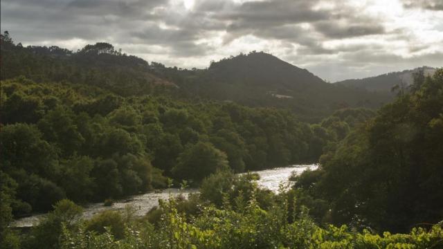 Río Ulla
