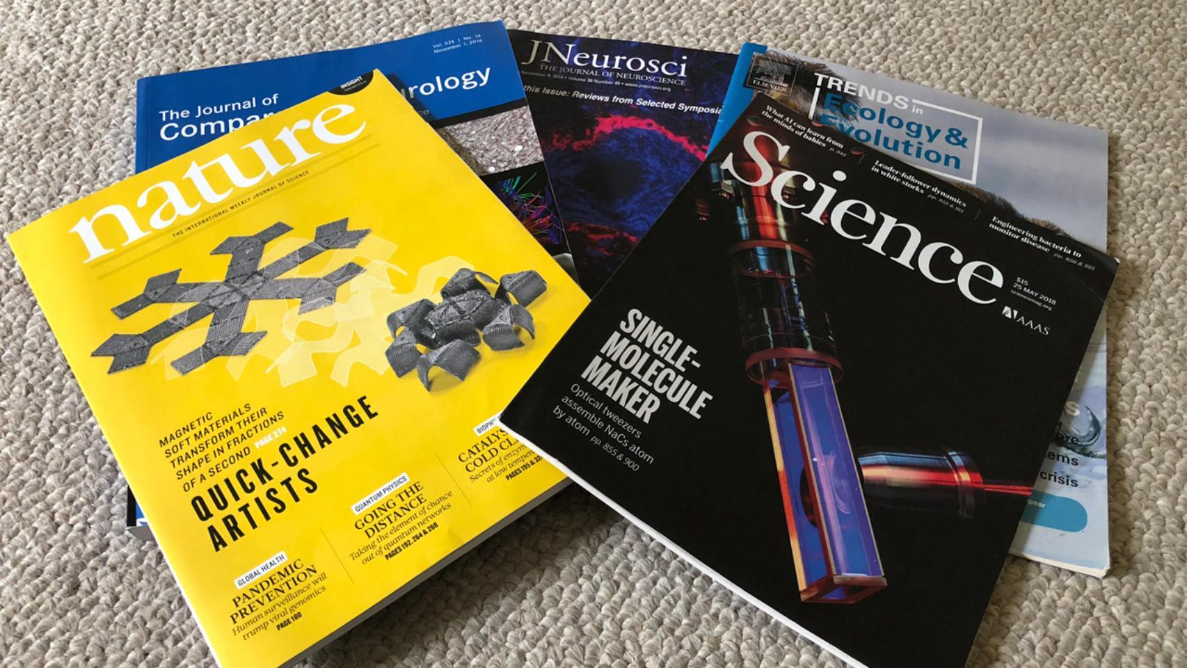 Algunas revistas científicas piden que los autores indiquen cuál ha sido su función para evitar estos comportamientos.