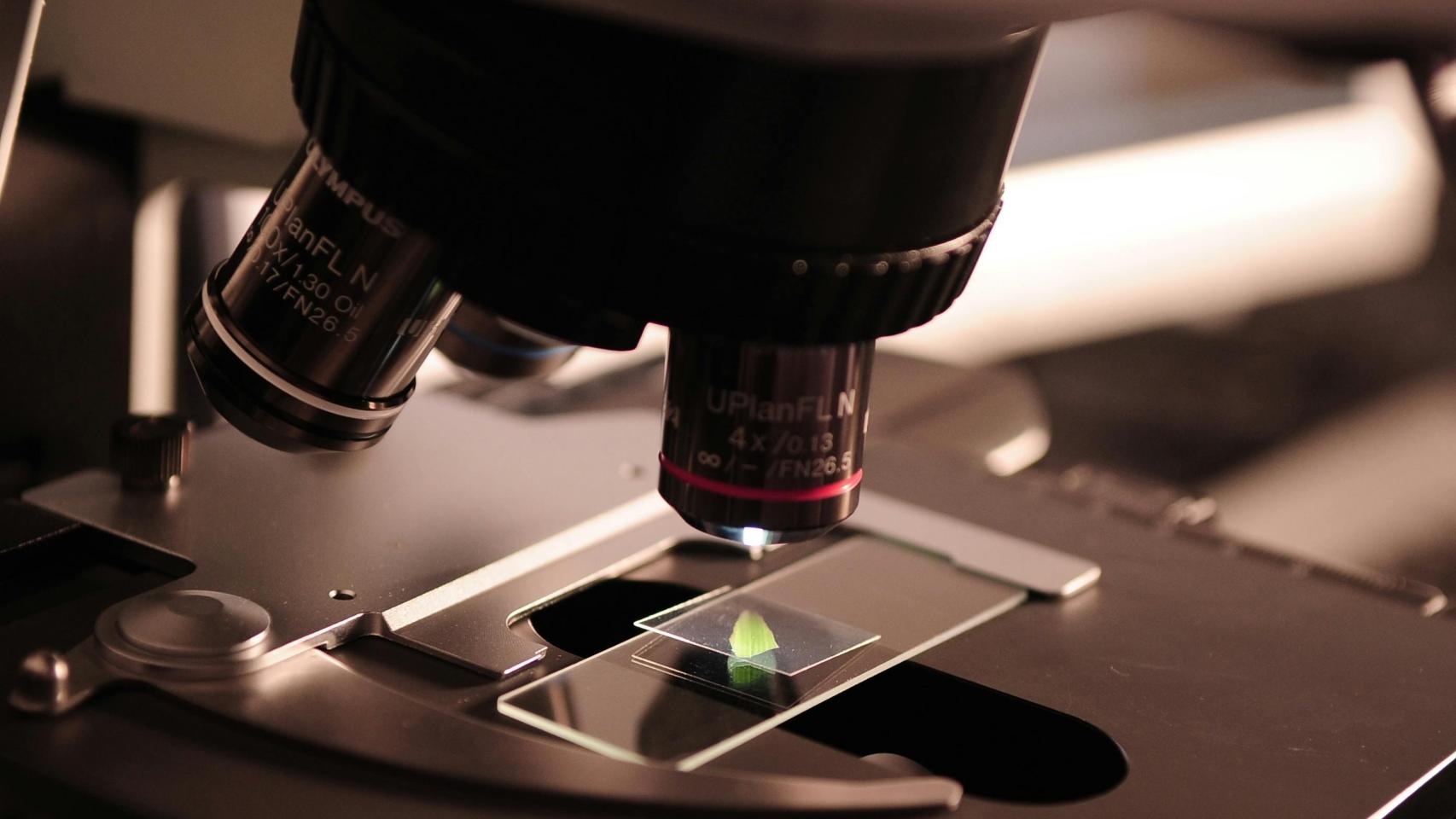 Un microscopio durante una prueba de laboratorio.