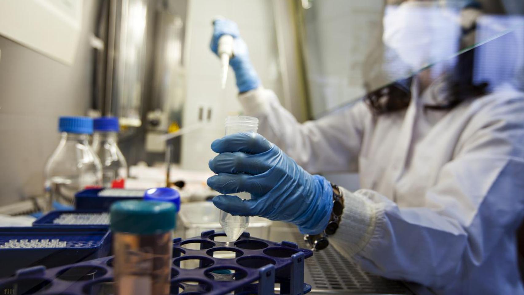 No más soldados: ahora la ciencia diseña estrategas para luchar contra el cáncer