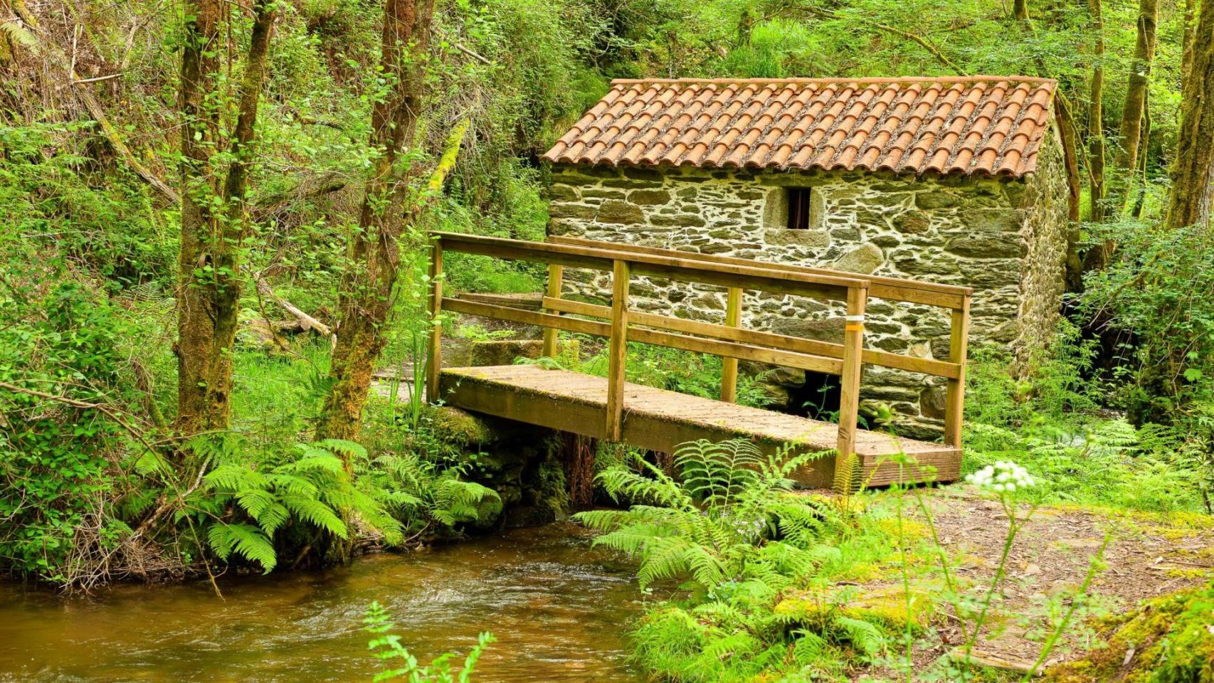 Senda dos Muíños Do Río Medio, en Miño (A Coruña)