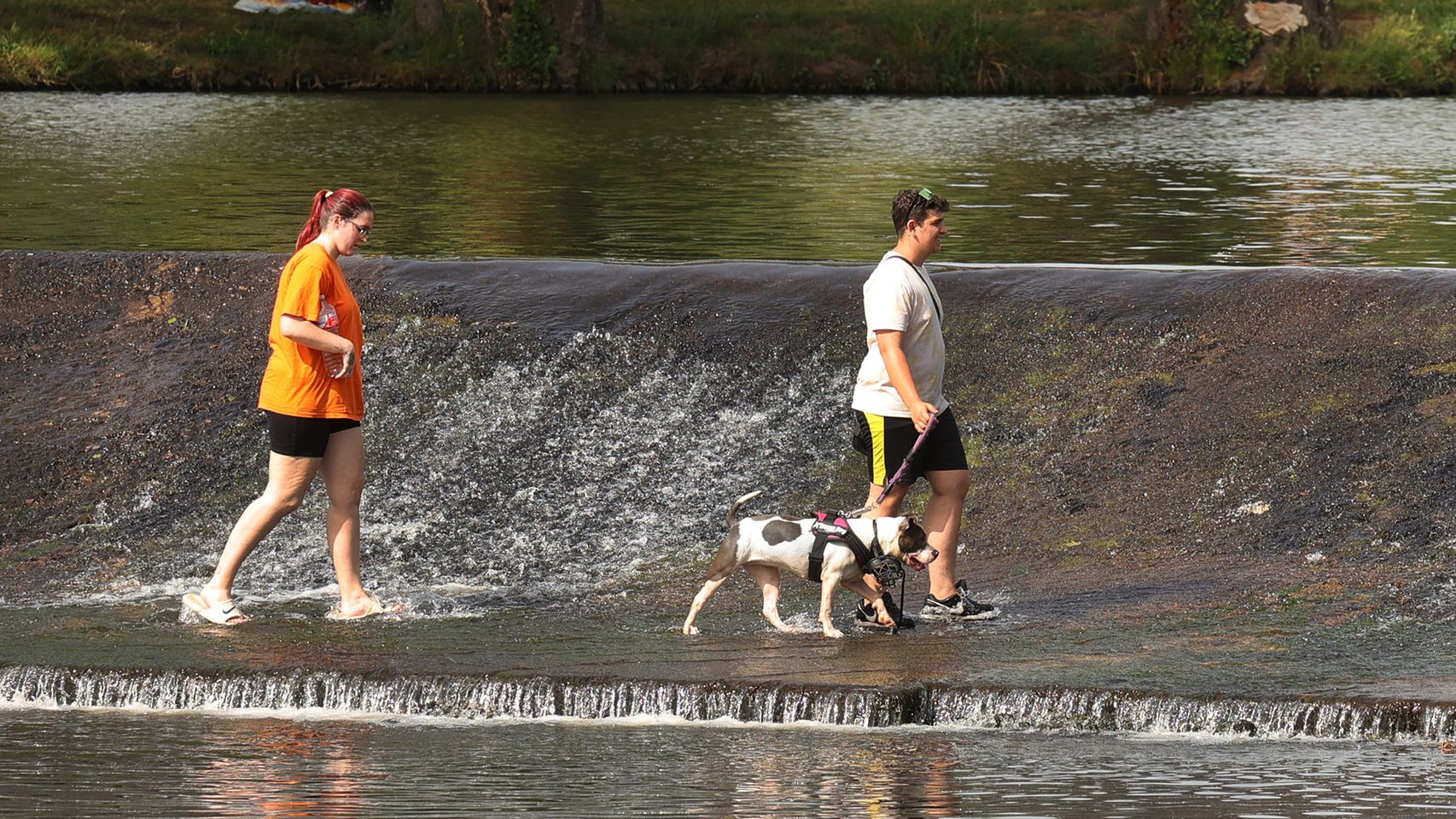 Unas personas refrescándose con su perro en Salamanca