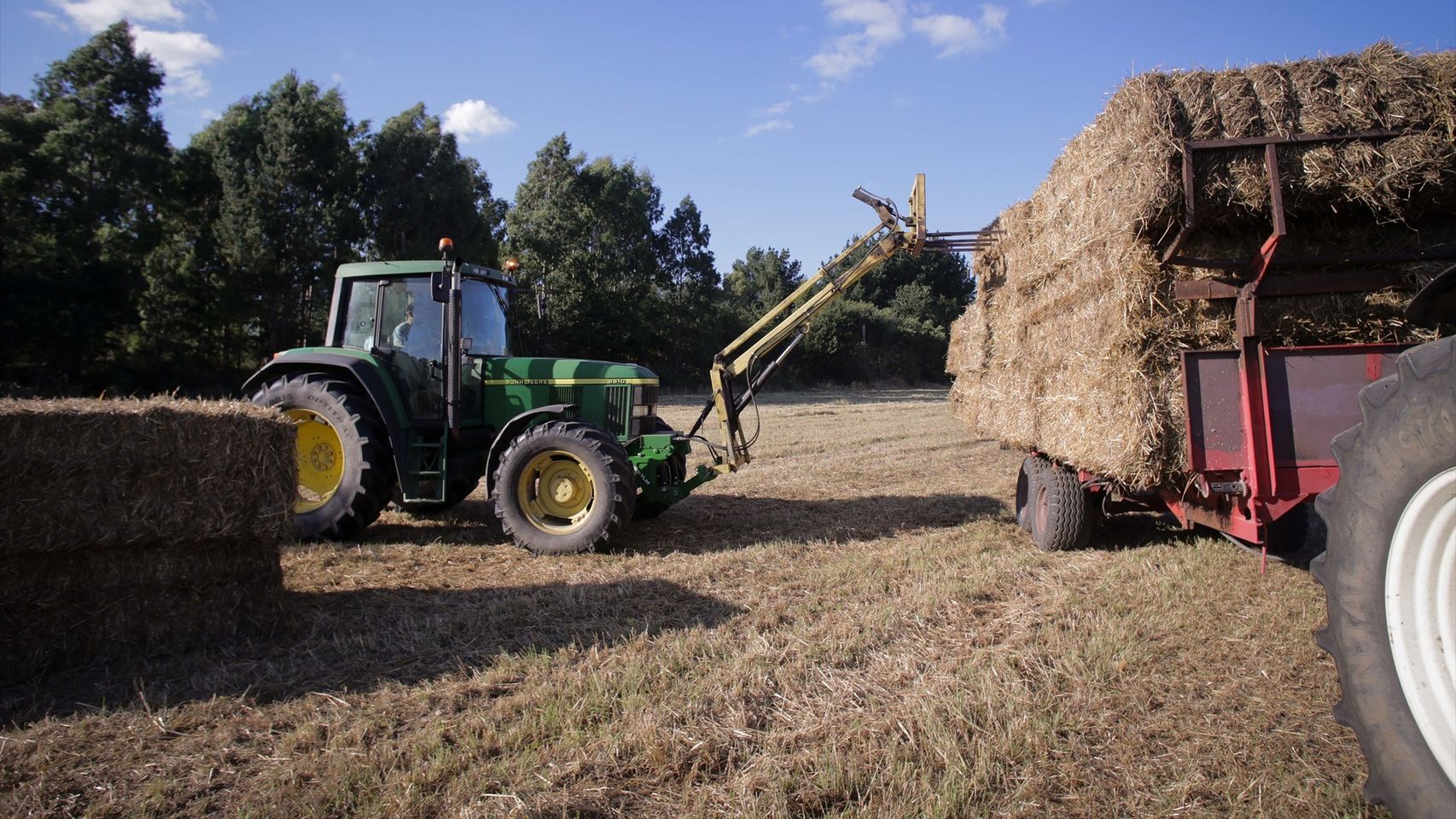 Sector agroalimentario