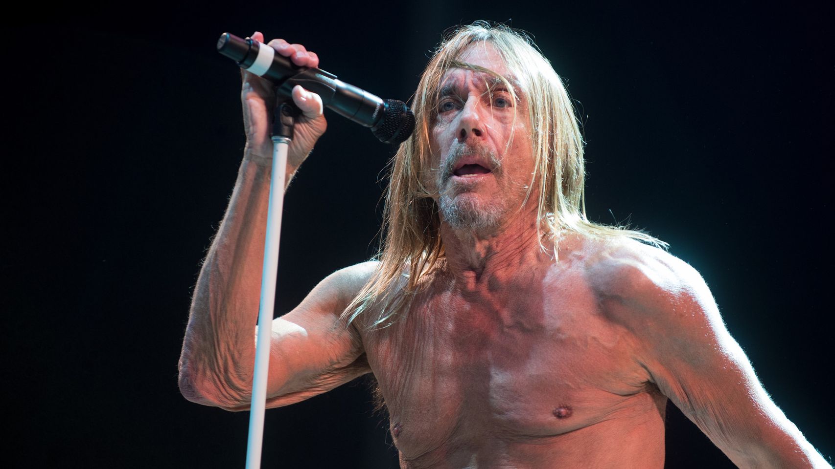El artista Iggy Pop.