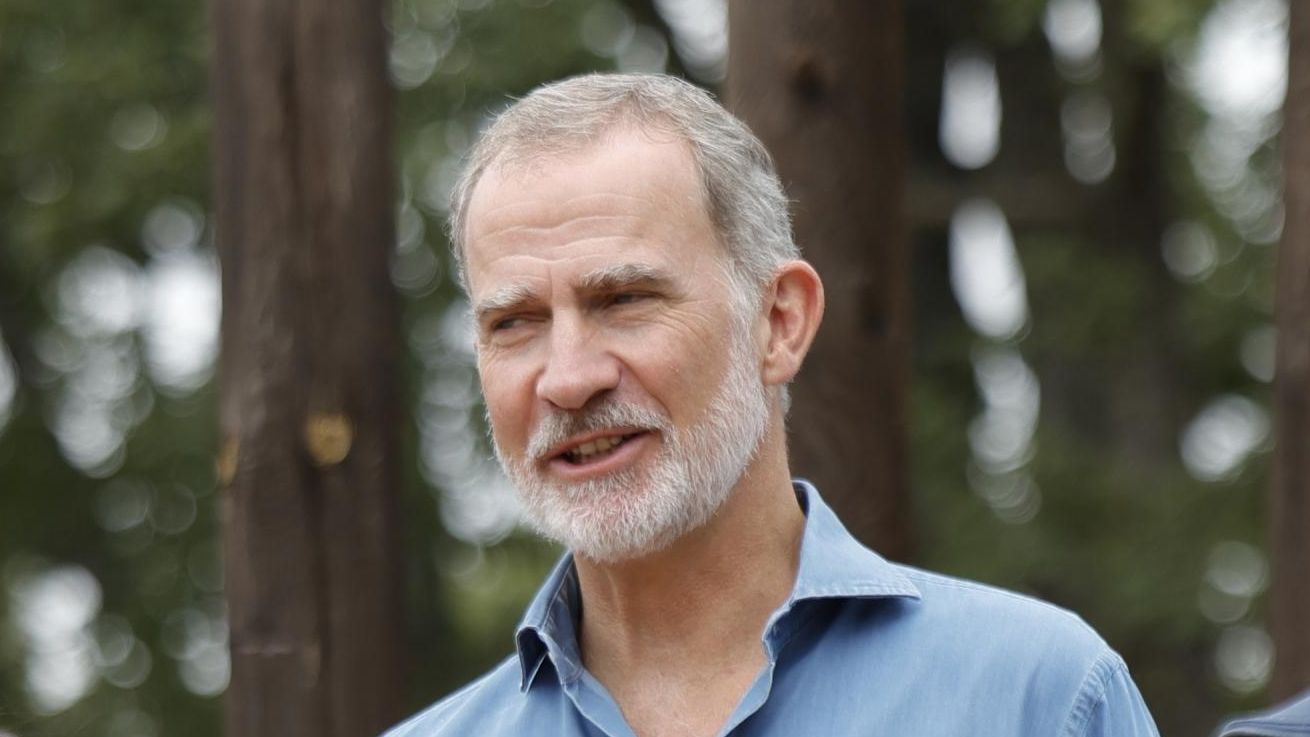 Felipe VI