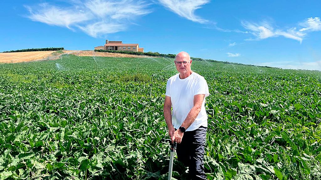 Luis Velasco en su explotación de Bobadilla del Campo.