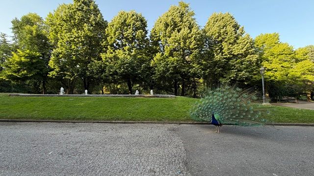 Parque de Quevedo en León.