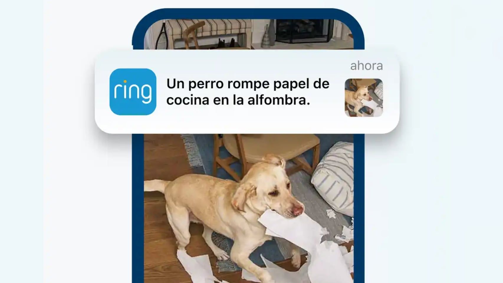 Nuevas funciones de RIng
