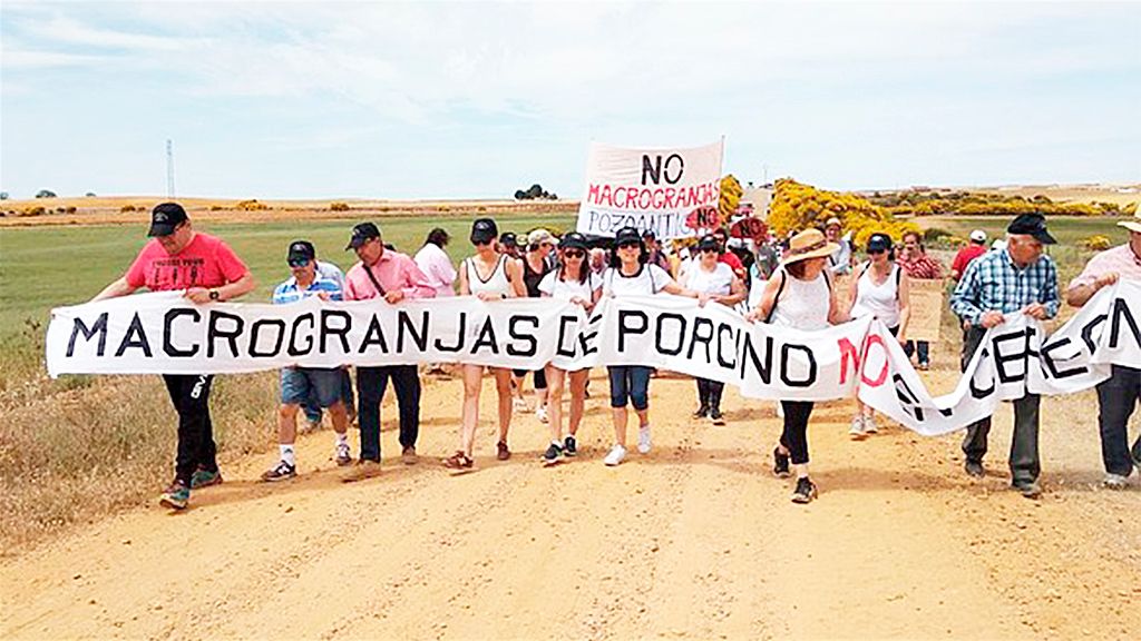 Una concentración de Stop Ganadería Industrial en Castilla y León.