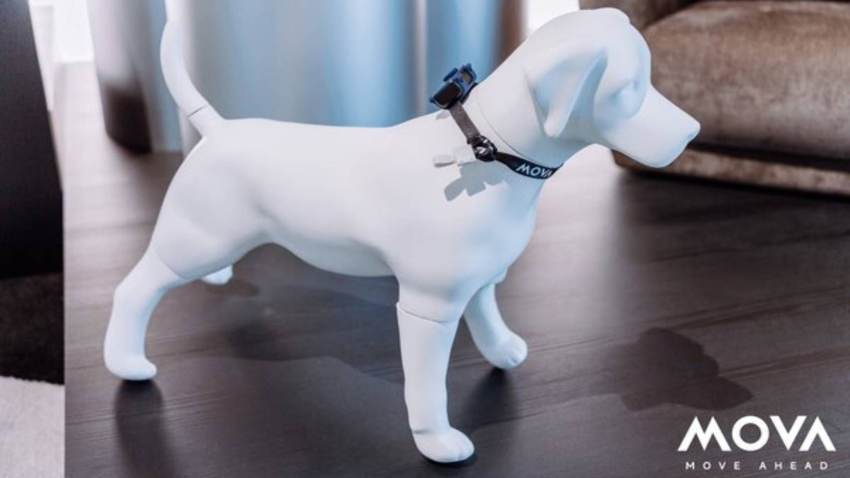 El localizador de mascotas MOVA SureTrack Pro.