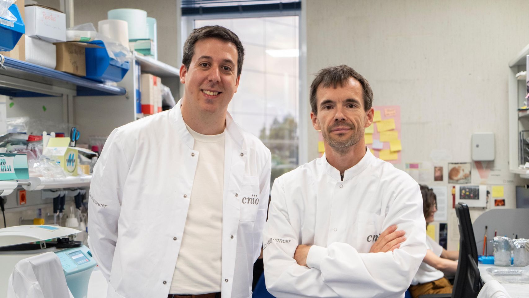 hallan una diana terapéutica que «abre una vía prometedora» para prevenir metástasis cerebrales
