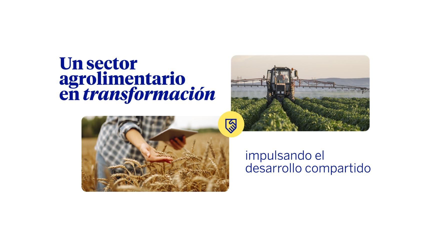 Mesa de redacción Un sector agroalimentario en transformación: impulsando el desarrollo compartido.