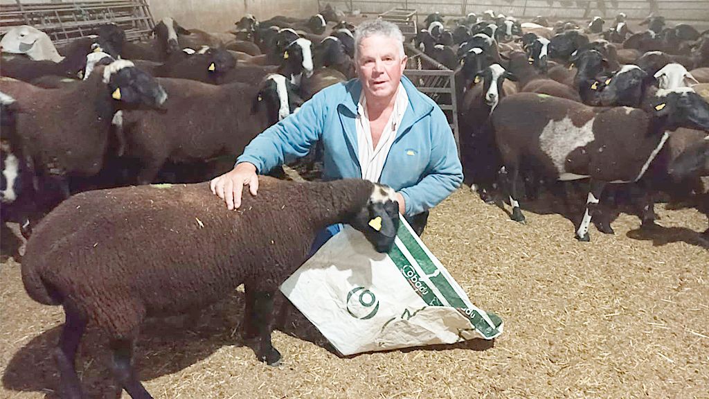Imagen de Luis Miguel en su explotación con los animales.