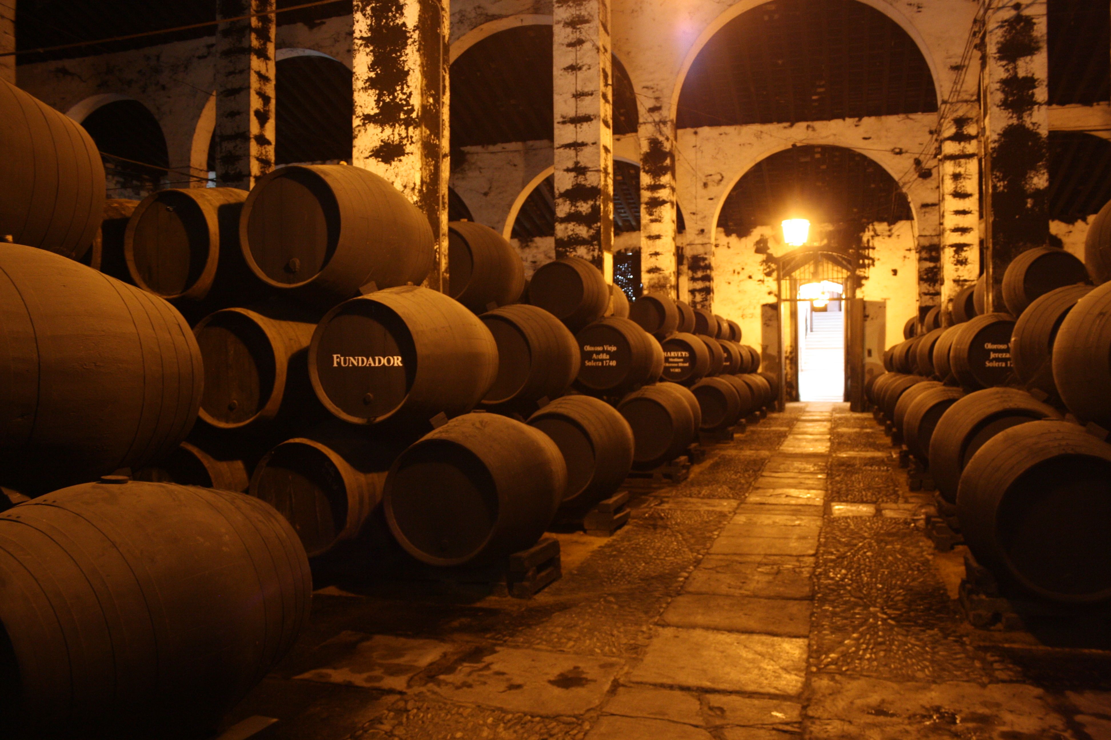 El tiempo guardado en madera: un viaje sensorial al corazón del Jerez más auténtico y atractivo