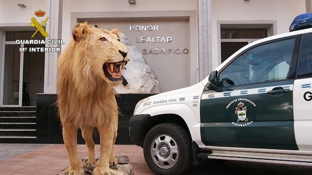 Imagen cedida por la Guardia Civil