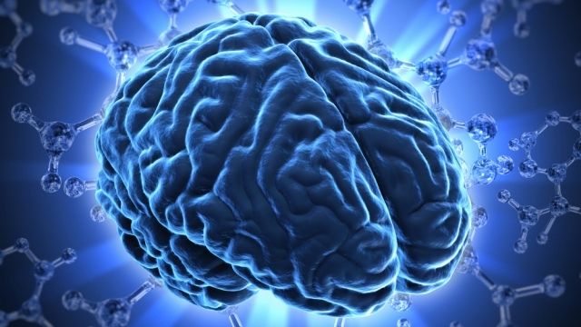 cerebro_joven