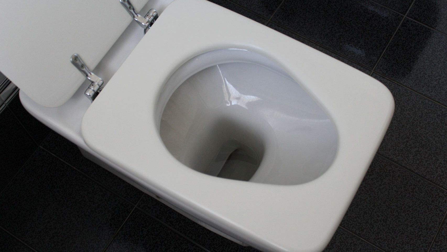 inodoro wc