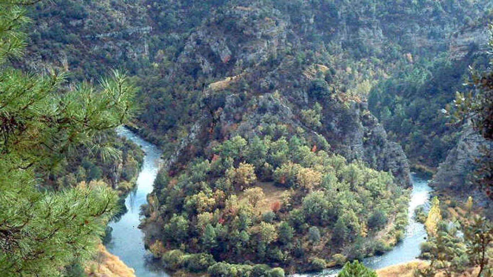 Parque Natural del Alto Tajo. Foto: EDCM