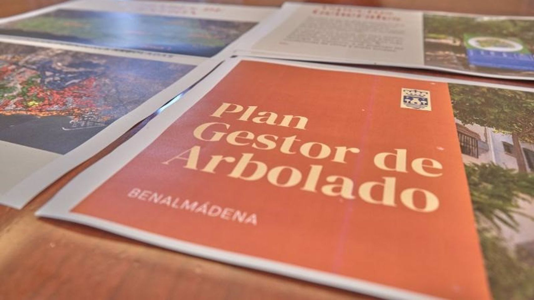 Benalmádena elabora su primer plan gestor del arbolado para potenciar su sostenibilidad y desarrollo verde
