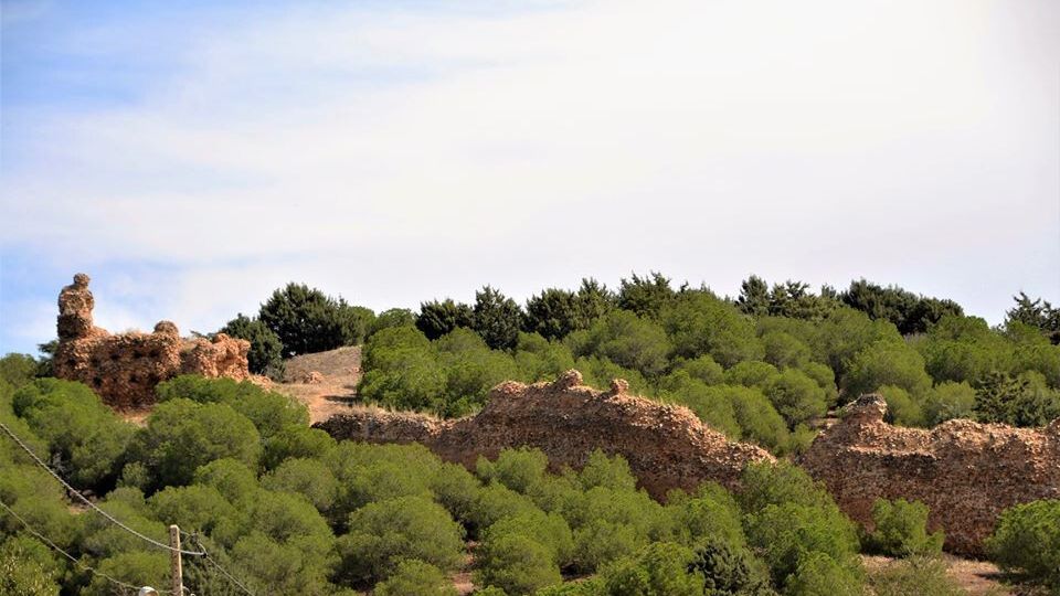 Castilla y León