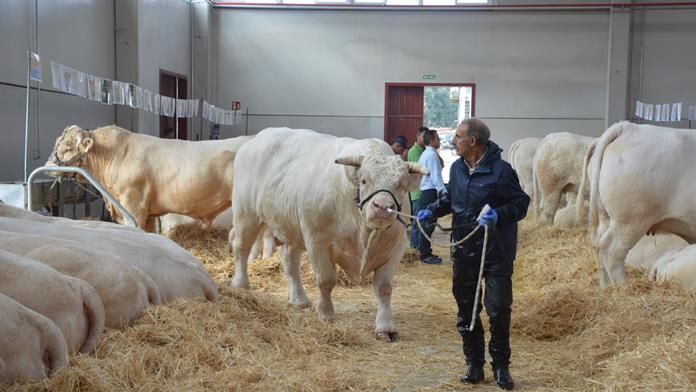 Castilla y León