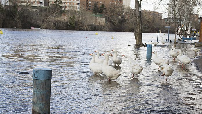 Valladolid-pisuerga-lluvias-caudal-rio
