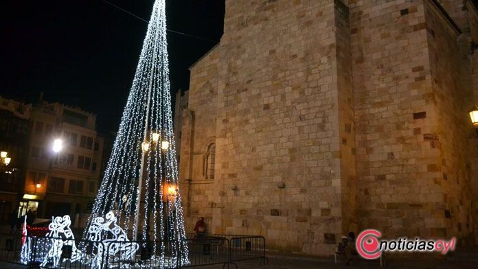 zamora luces de navidad (9)