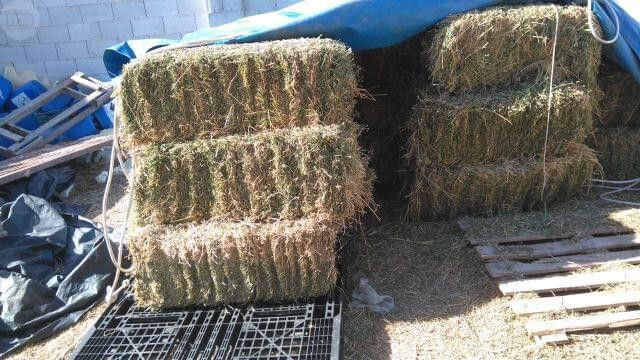 Pacas de paja.