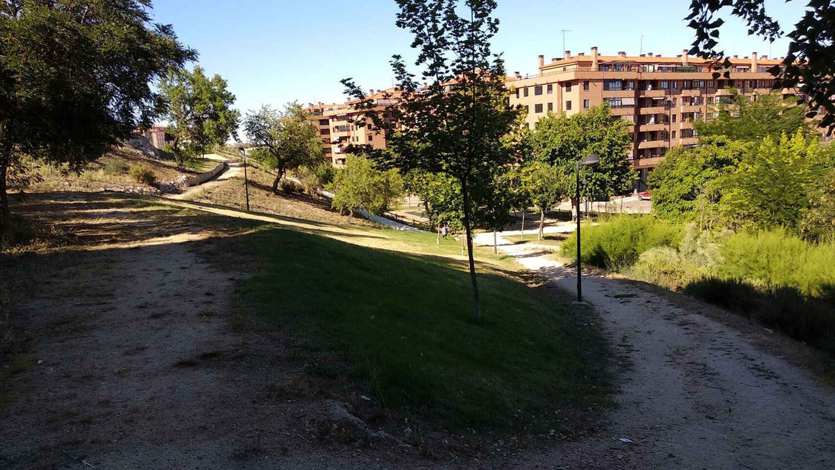 Bosque de Valorio