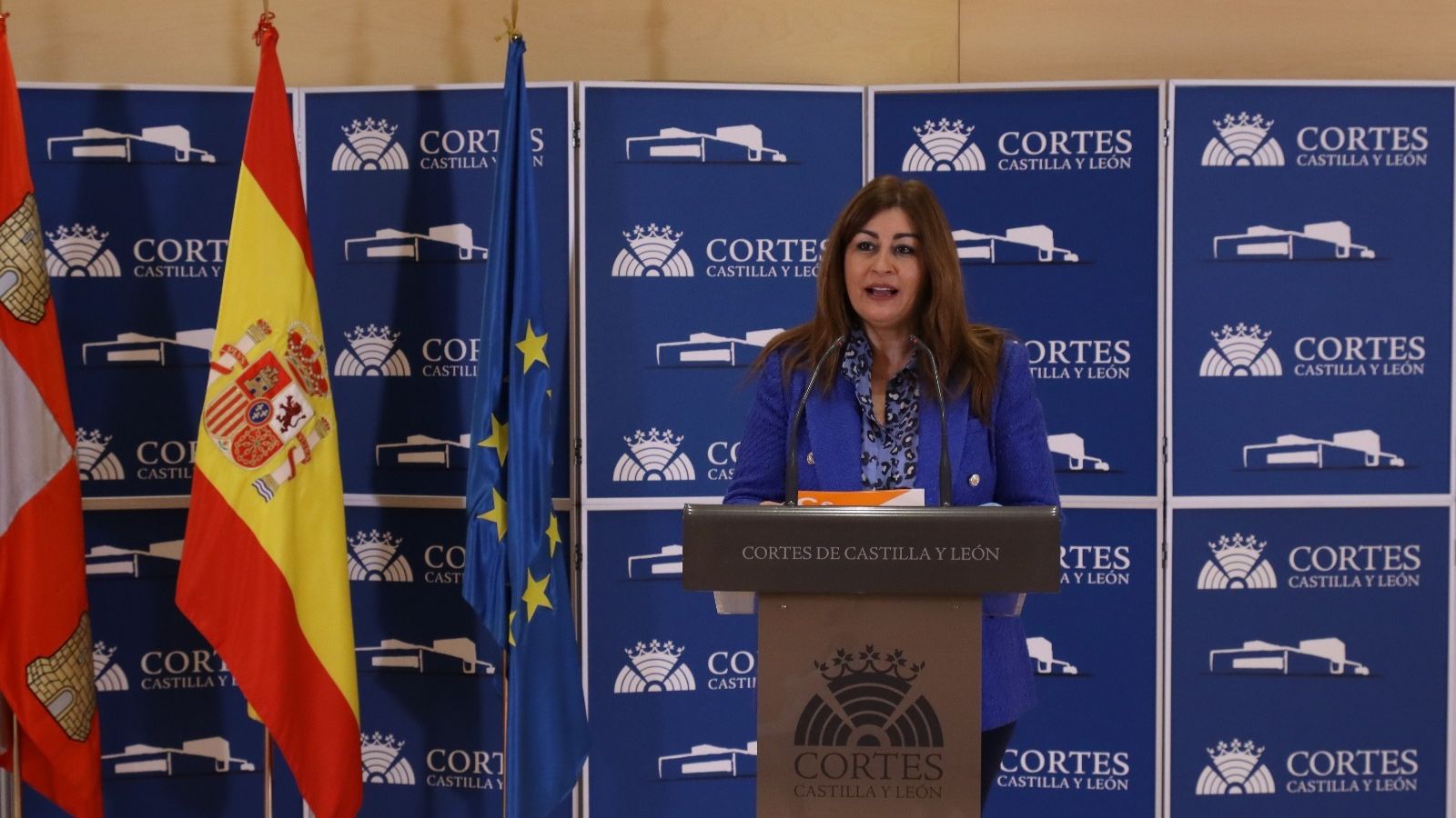 La procuradora y portavoz de Ciudadanos en la comisión de Educación en las Cortes de Castilla y León, Marta Sanz Gilmartín.