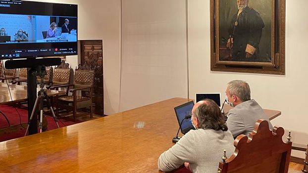 La reunión se celebró en formato telemático