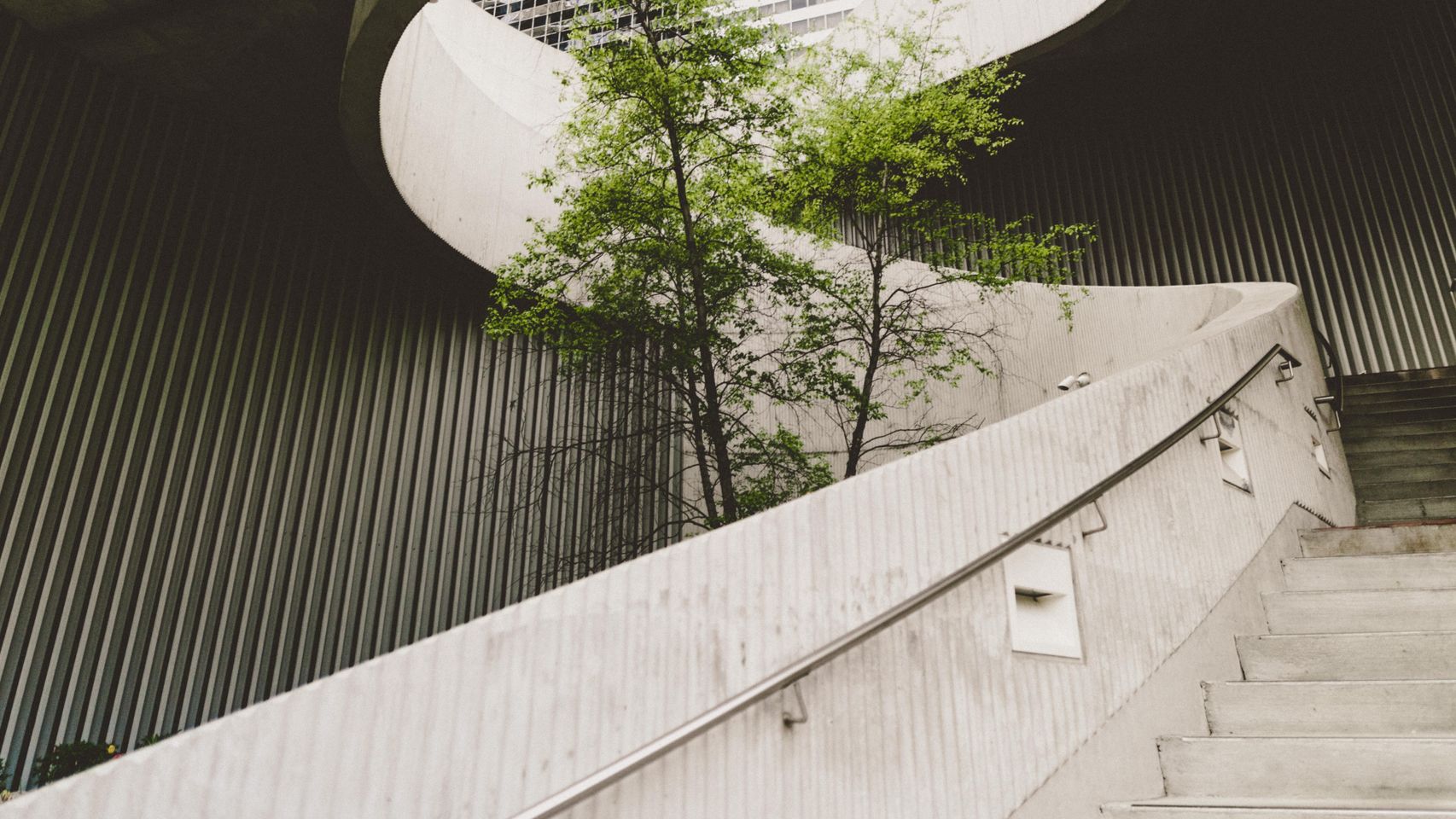 Un árbol se abre paso por medio de un edificio de oficinas.