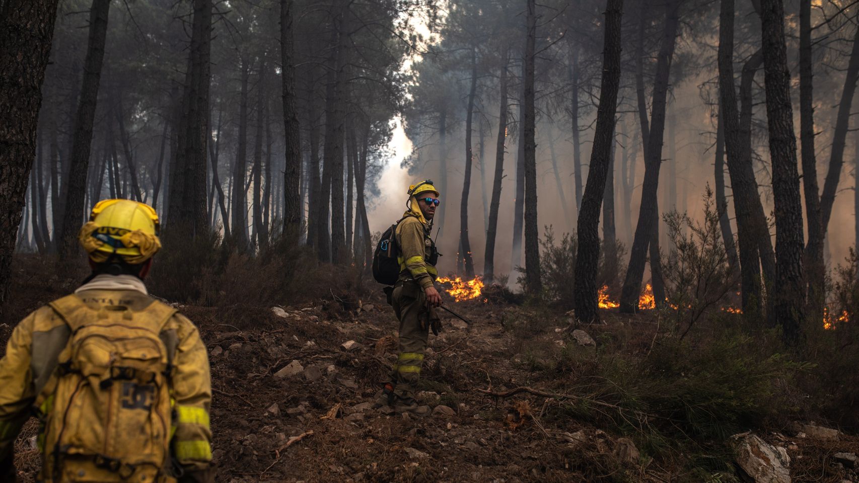 Varios bomberos trabajan en las tareas de extinción de los incendios en la Sierra de la Culebra, en Zamora, el pasado verano.